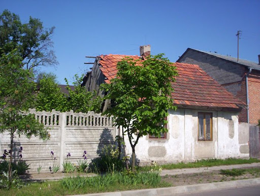 Kazimierz nad Nerem