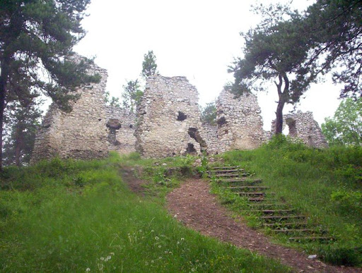 Zamek w Bydlinie