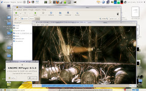 Gnome mplayer screenshoot