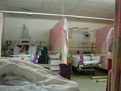 P1150075.JPG